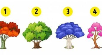 Quale emozione domina nella tua vita? Scoprilo con questo semplice test